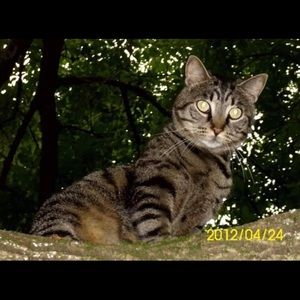 Meet your Posher, Matthew